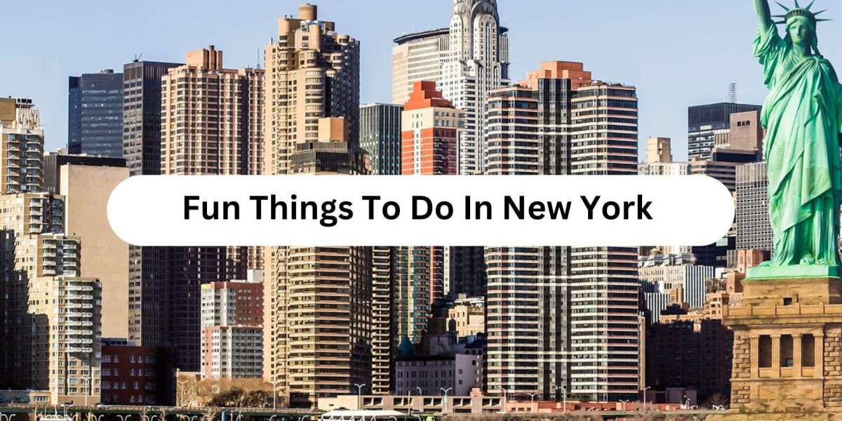 20 Fun Things to Do in Florida