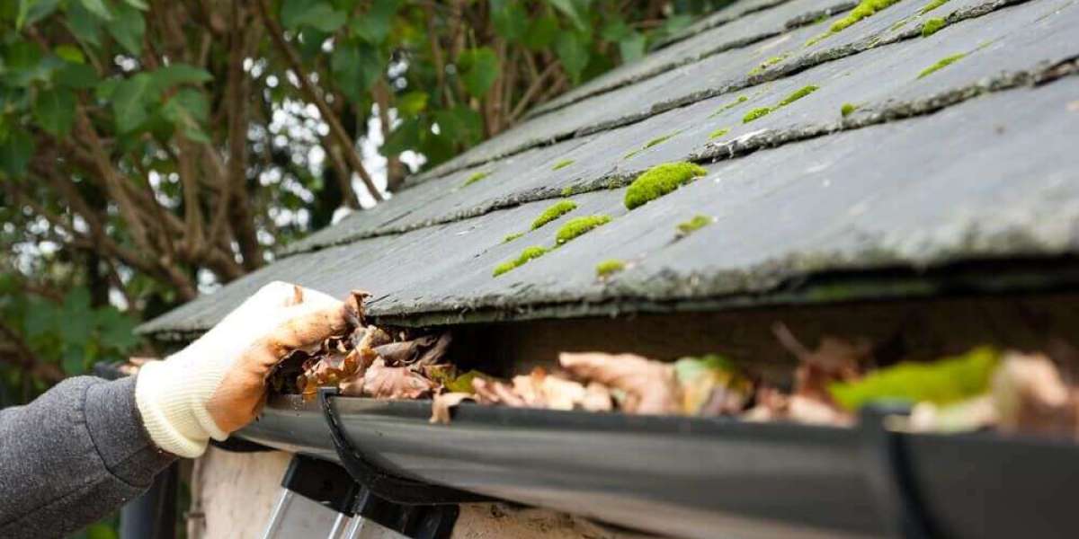 Get Affordable and Reliable Gutter Cleaning in Vancouver