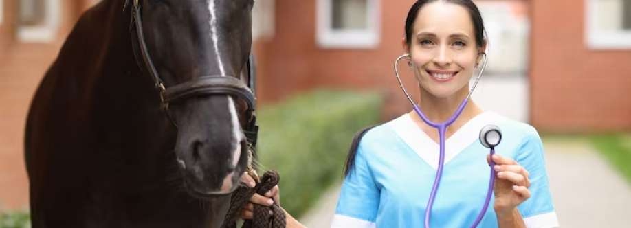 Horse insurance in NZ Profile Picture