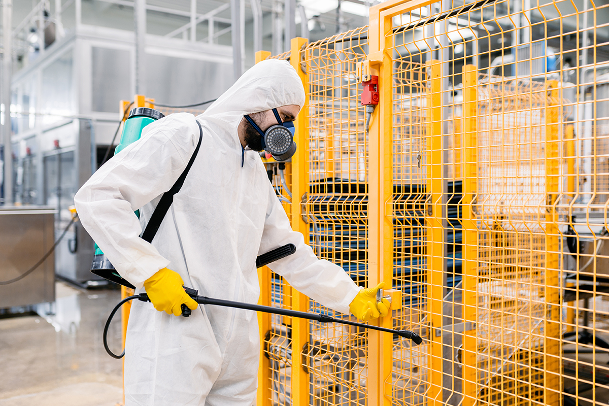 Proven Termite Proofing Solutions - Protect Your Property