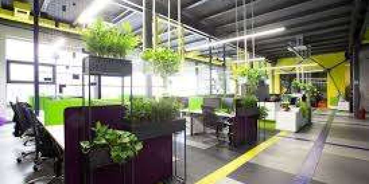 12 Ideal Plants for Your Office Desk