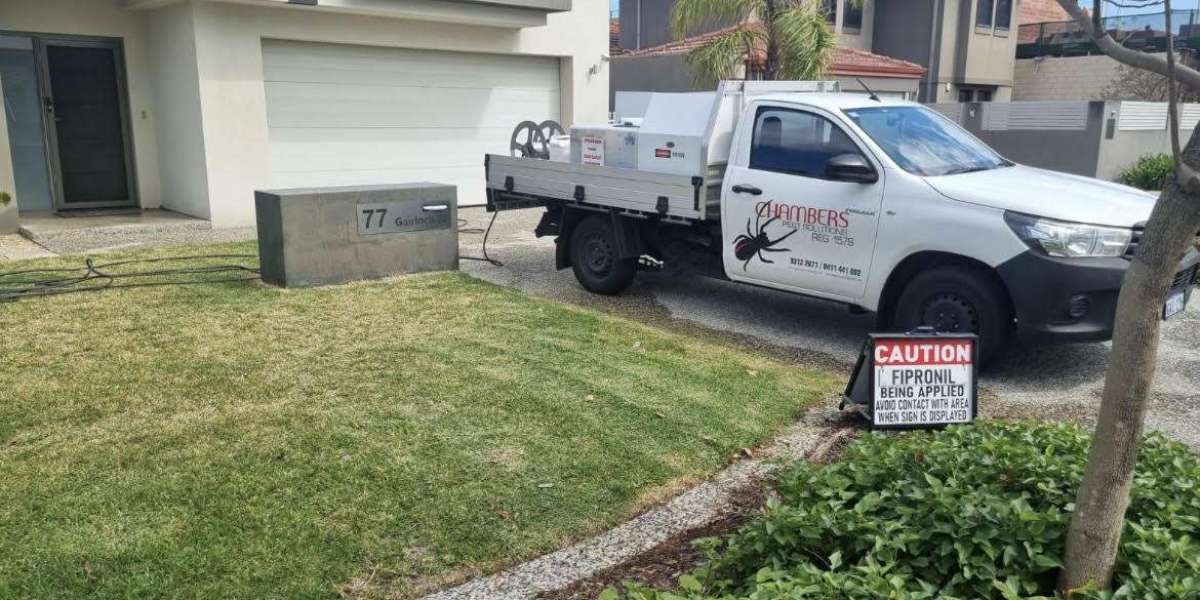 Understanding the Risks of Pest Infestations in Perth: Why Immediate Action is Crucial