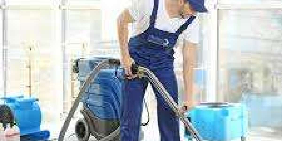 Elevate Your Home with the Best Carpet Cleaning Services in Sydney