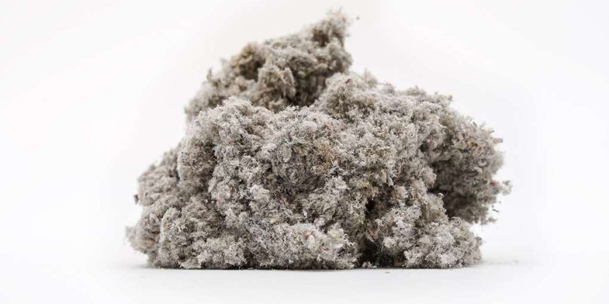Unveiling the Benefits of Cellulose Blown-In Insulation