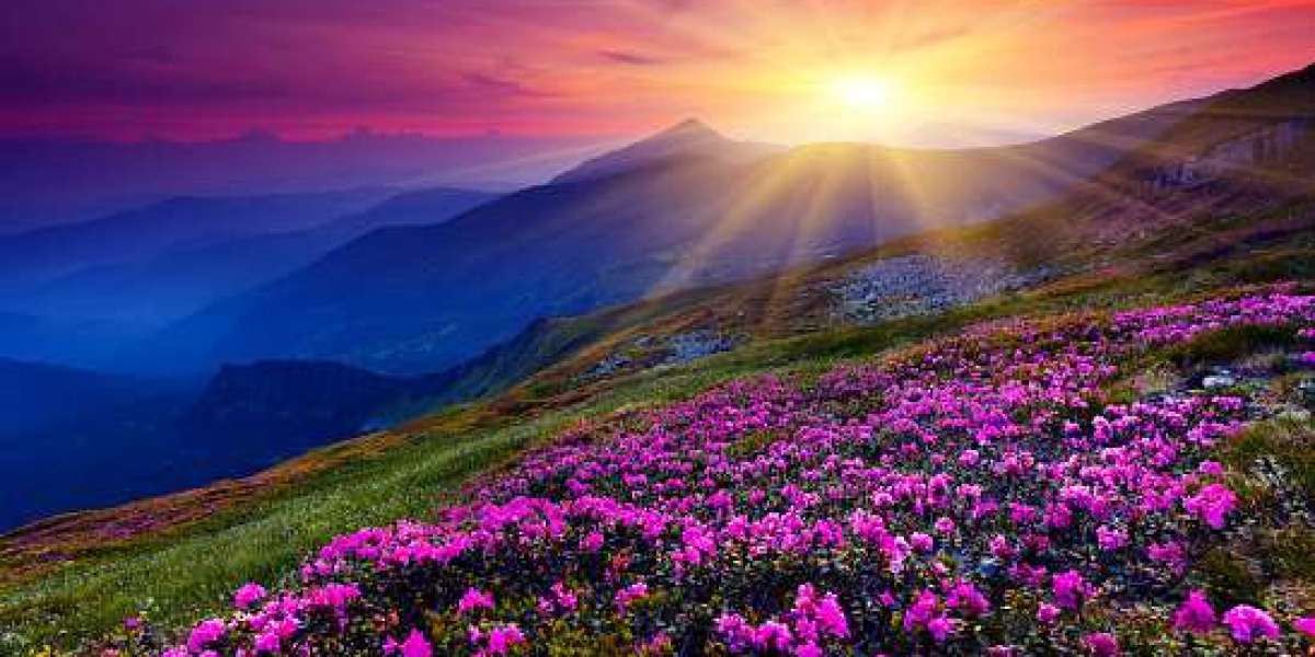 The Ultimate Guide to Planning a Romantic Kashmir Honeymoon