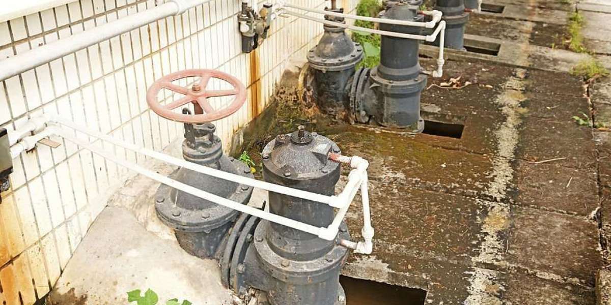 Dependable Excellence: Reliable Septic Services