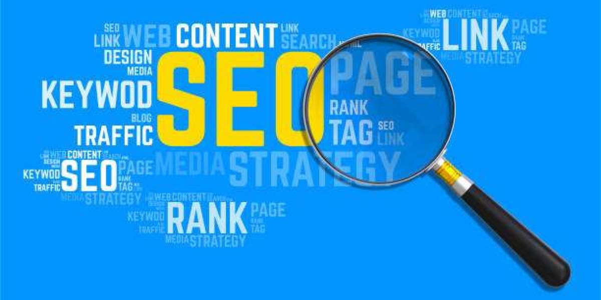 Dominating the SERPs: SEO Services that Drive Results in Canada