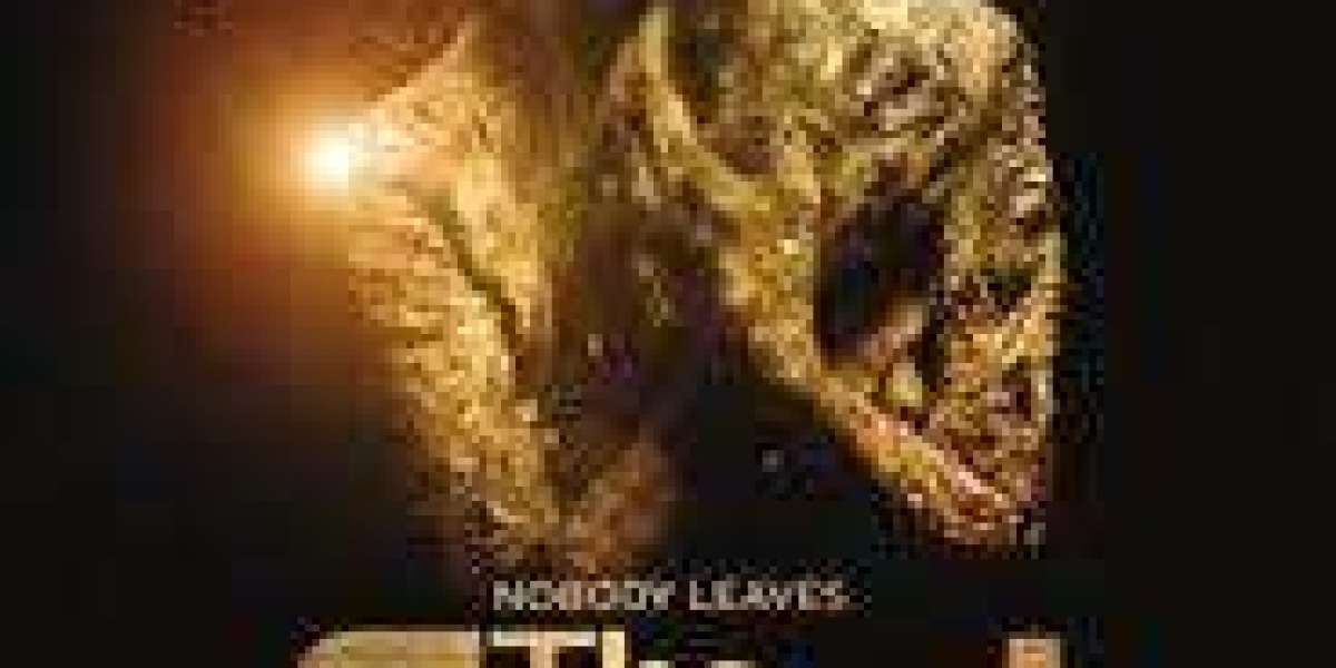 Journey Through Desolation and Hope: The Road