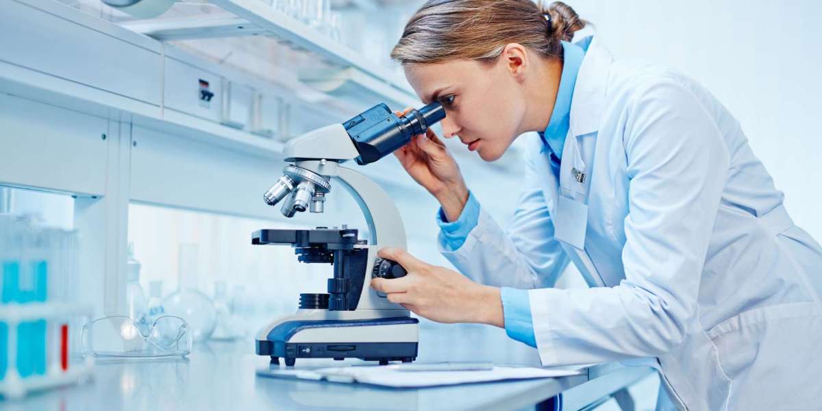 SSC Scientific Assistant IMD Exam: Navigating the Path for Science Graduates