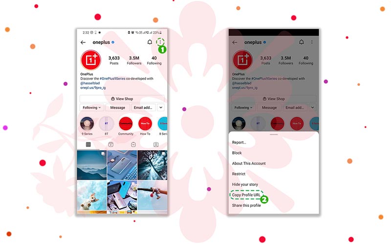 Insta DP Viewer & Instagram DP Downloader