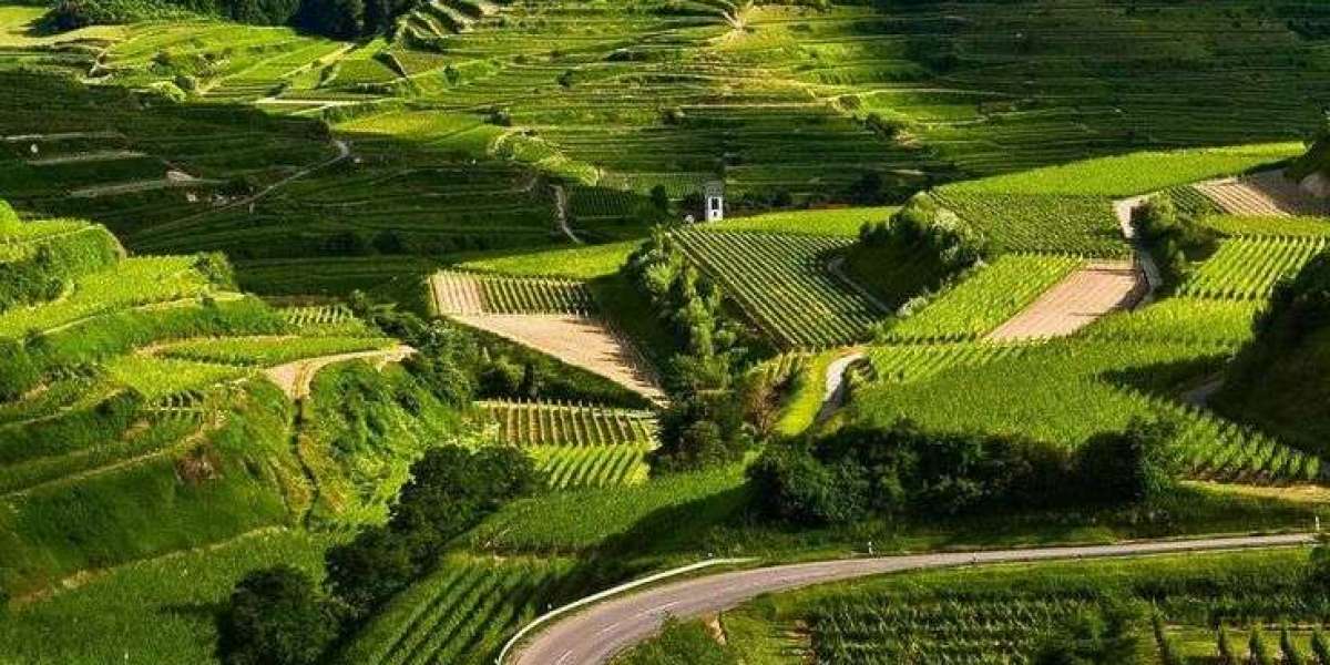 Best time to visit Coorg