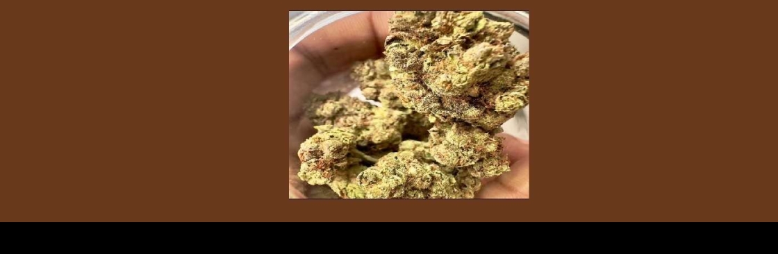 CannaWize Co Dispensary Cover Image