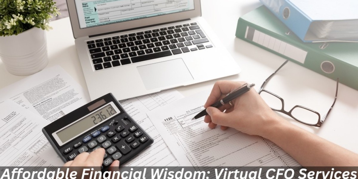 Affordable Financial Wisdom: Virtual CFO Services Tailored to Your Budget!