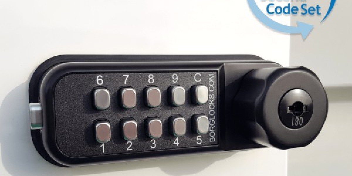 Guardians of Entry: Unveiling the Power of Borglocks Security