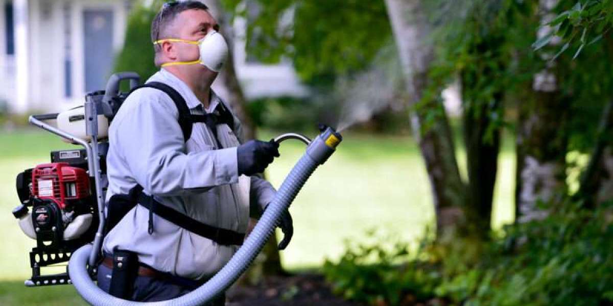 Professional Pest Control: Making the Right Choice for Your Newcastle Home
