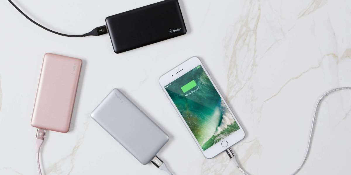 15.5% CAGR: Unveiling the Growth Trajectory of the Global Power Banks Industry