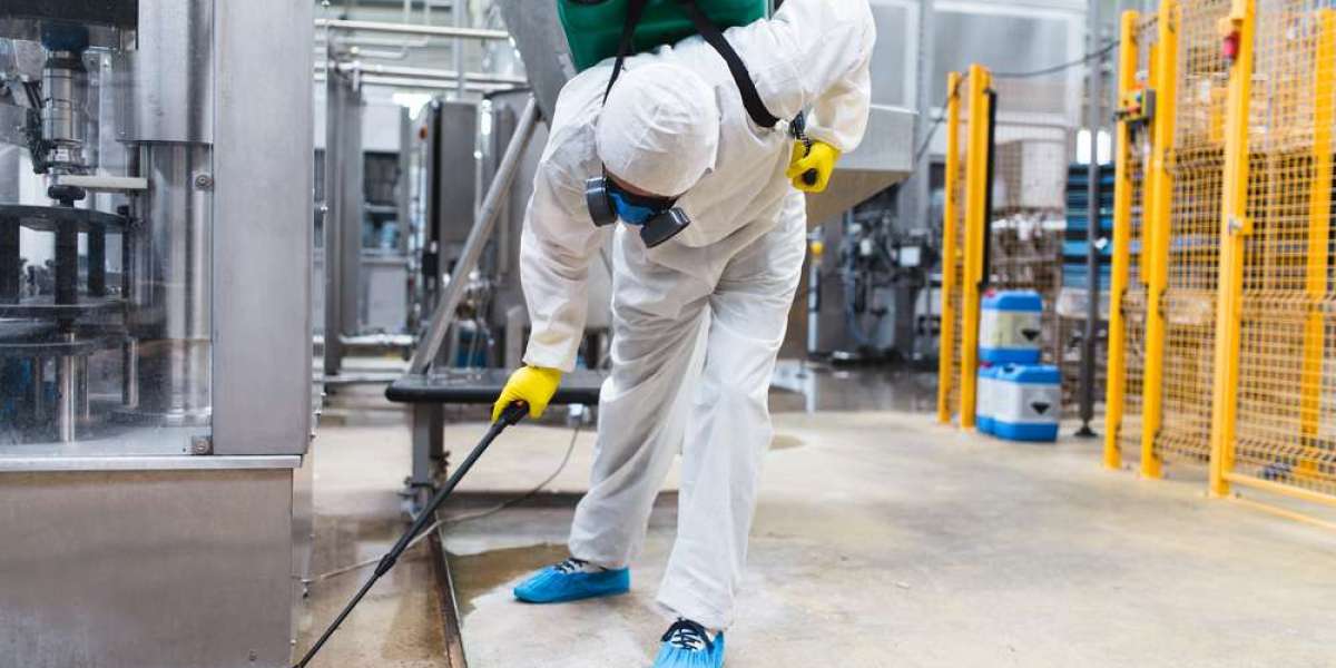 Professional Pest Control: Which Is Best for Cockroaches in Sydney?