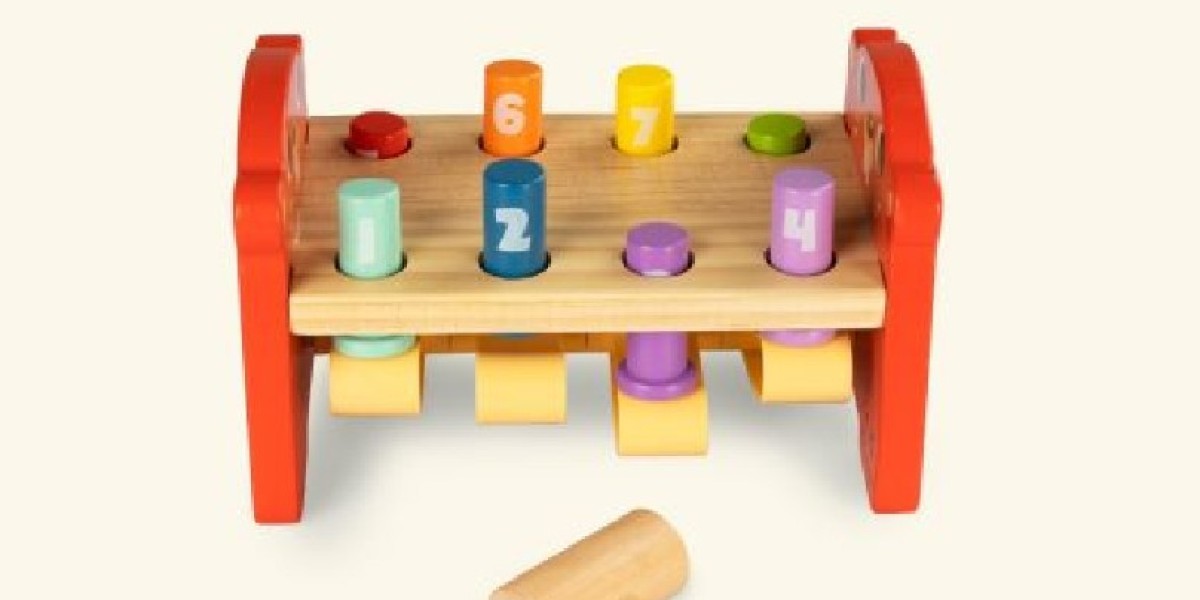 Embracing Montessori: A Guide to Barnshenn Montessori Toys
