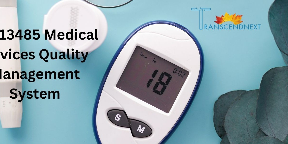 What Are the Benefits of Hiring ISO Consultants in Canada?