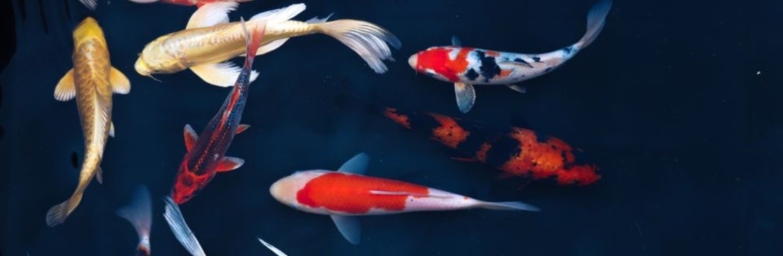 The Fish Works Cover Image