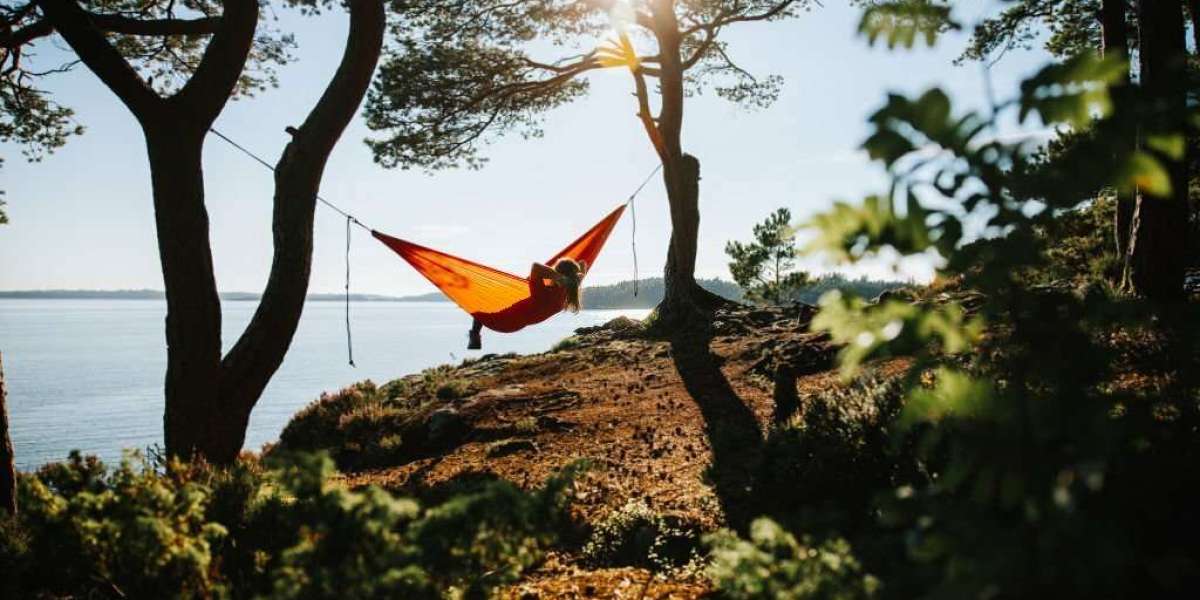 Nordic Wonders: A Guide to Countries, Culture, and Lifestyle