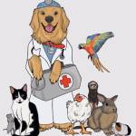 Doctor Bums Profile Picture