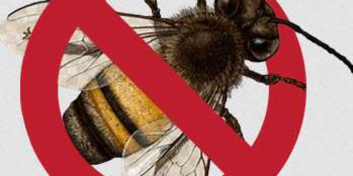 Safeguarding Your Family: The Importance of Professional Pest Control in Sydney
