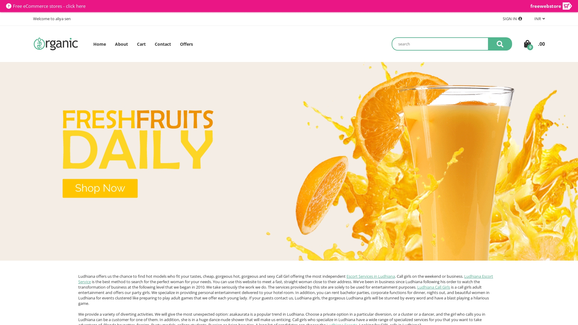 Ludhiana Escorts | Escorts in Ludhiana - Aliya sen