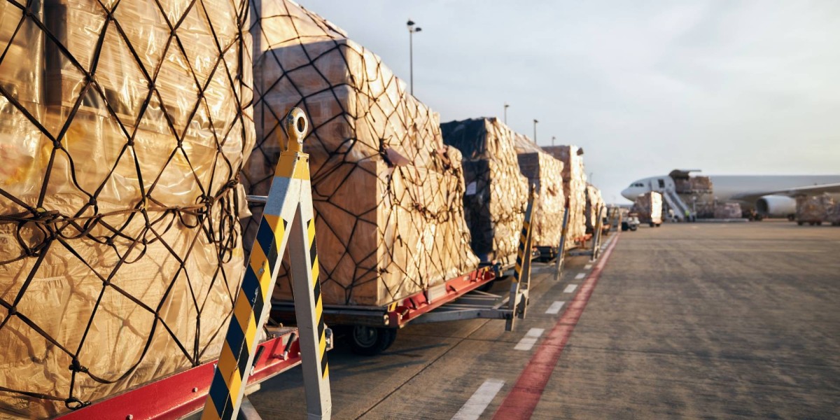 Beyond Boundaries: Direct Freight Express Paving the Way for Global Shipping