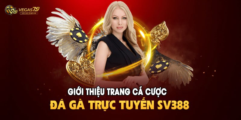 Sv388 - Sân chơi đá gà lý tưởng số 1 tại Vegas79