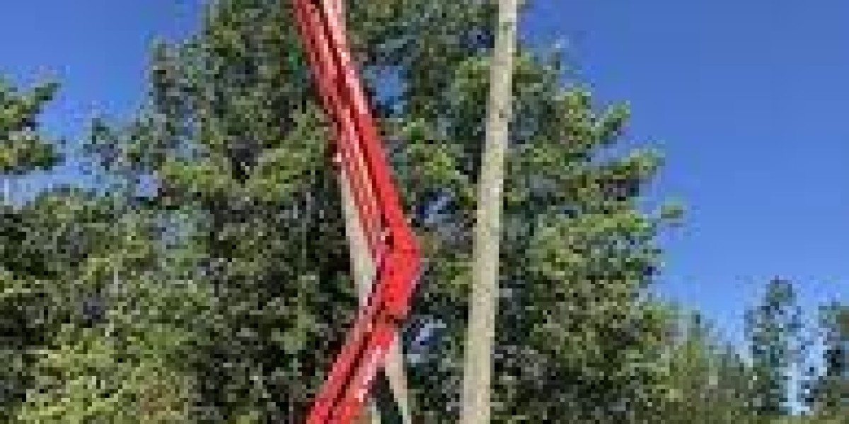 Understanding Why Tree Cutting Is Dangerous and How Timber Kings Tree Service Ensures Safety