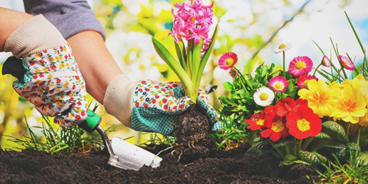 Seasonal Gardening Guide: What to Plant and When