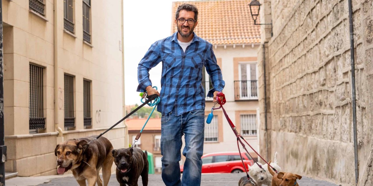 Herpetshop’s Premier Dog Walking Experience in Derby