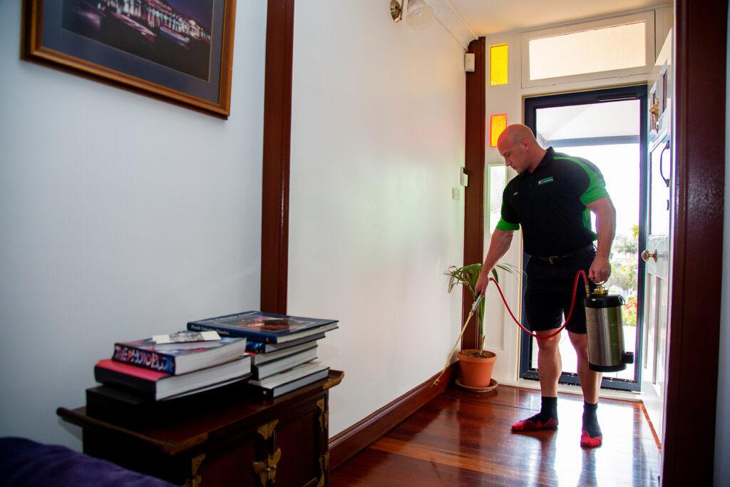Residential Pest Control Services in Newcastle