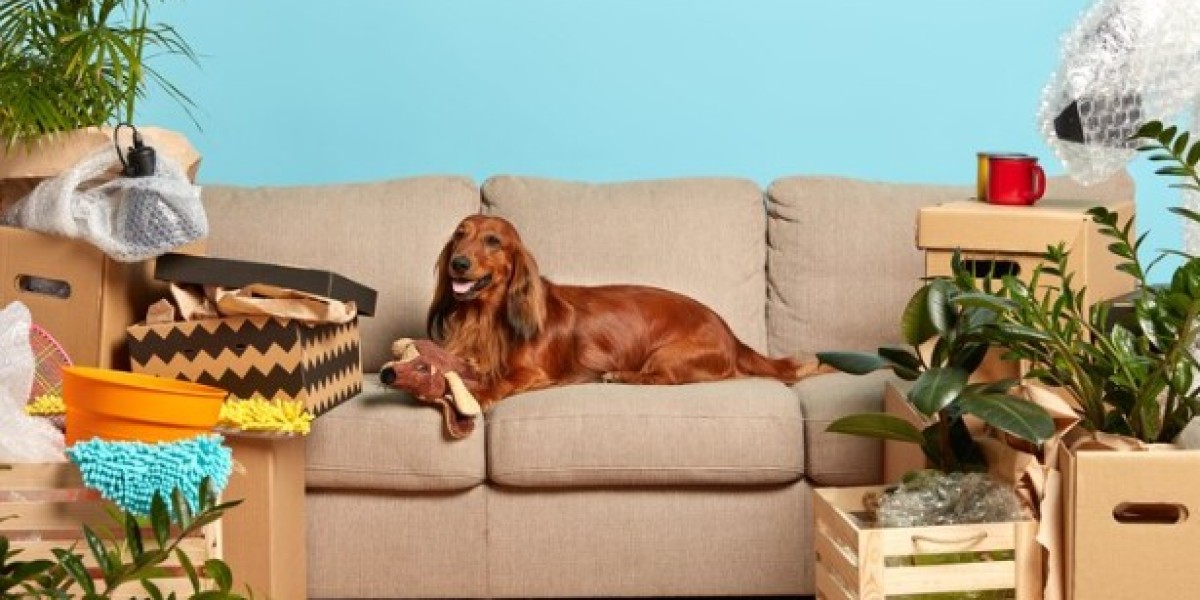 Pet Perks: Exclusive Supplies for a Happy Fur Family