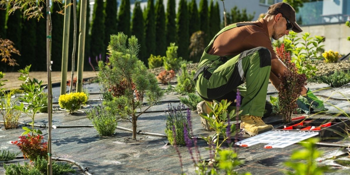 How Do You Protect Landscape and Irrigation Design From Damage?