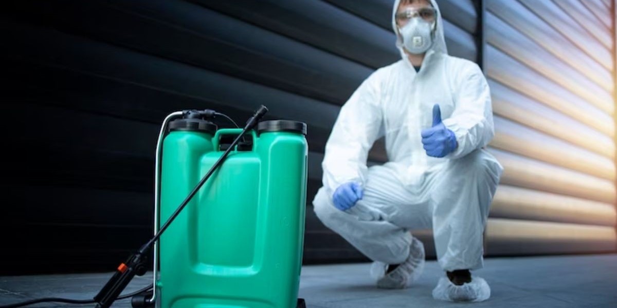 Cracking the Code: Navigating Rodent Exterminator Costs in the Bay Area