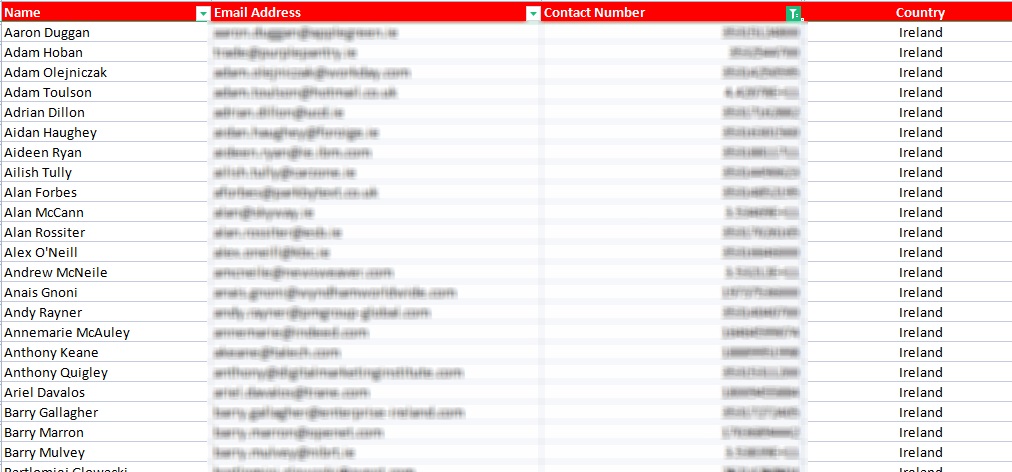 1M Ireland Email List: Business & Consumer