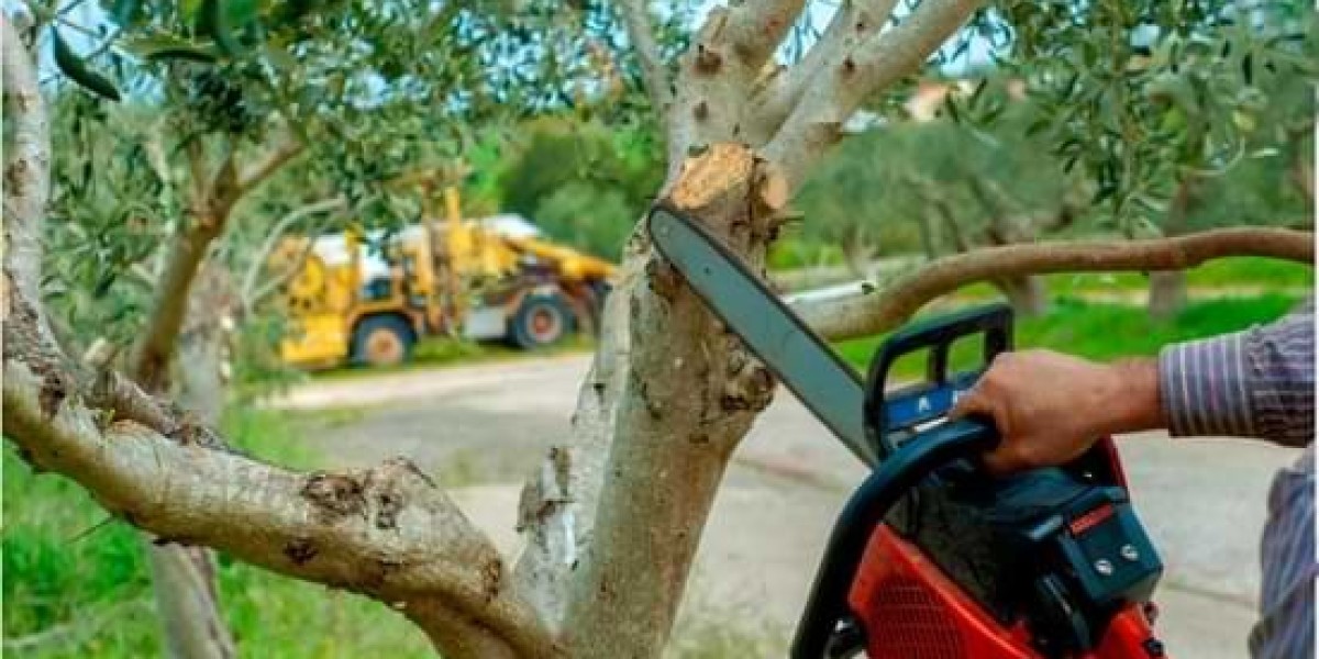 Maximizing the Benefits of Wood Chips from Stump Grinding
