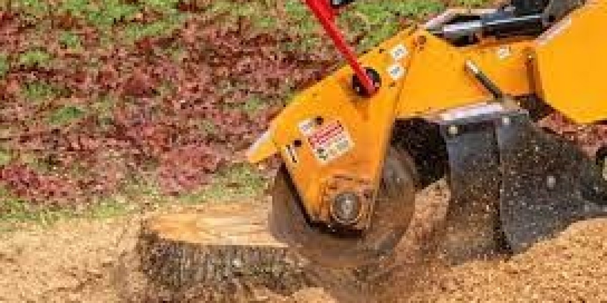 Stump Grinding Explained with Timber Kings Tree Service