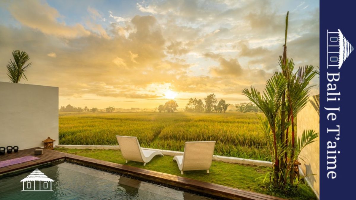 Luxurious Bali Villa Rentals for an Unforgettable Vacation Experience