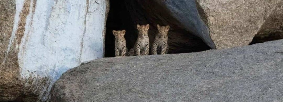 Jawai Leopard Safari Profile Picture