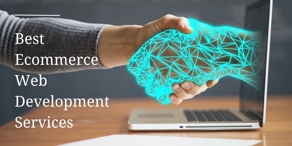 The Ultimate Guide to Evaluating Ecommerce Website Development Companies 2024
