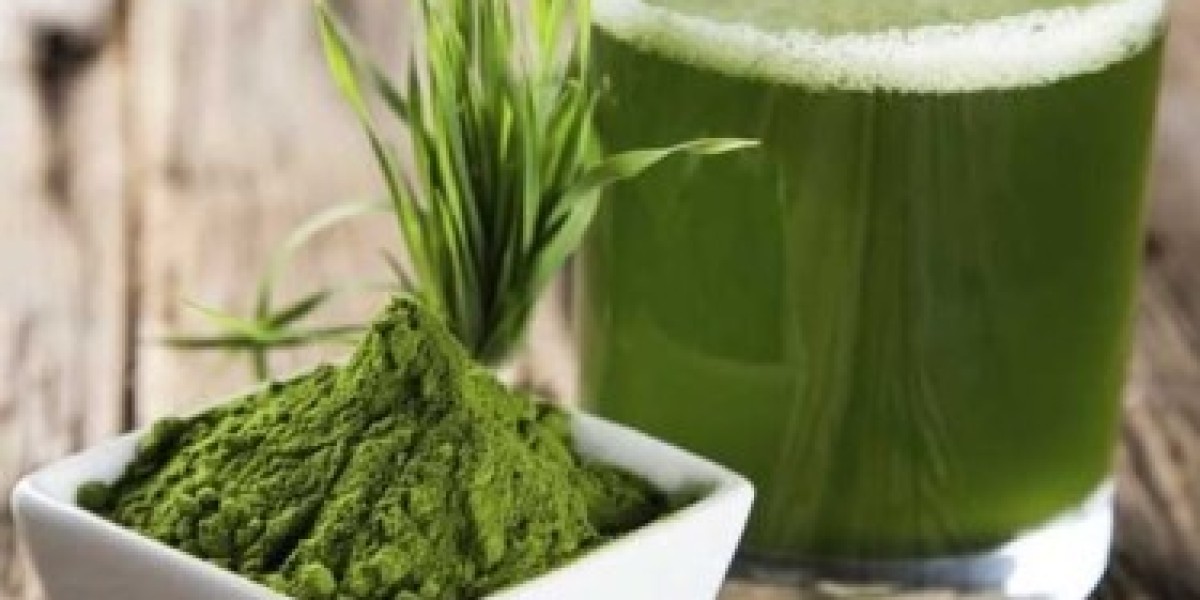 Spirulina Powder Manufacturers in Maharashtra