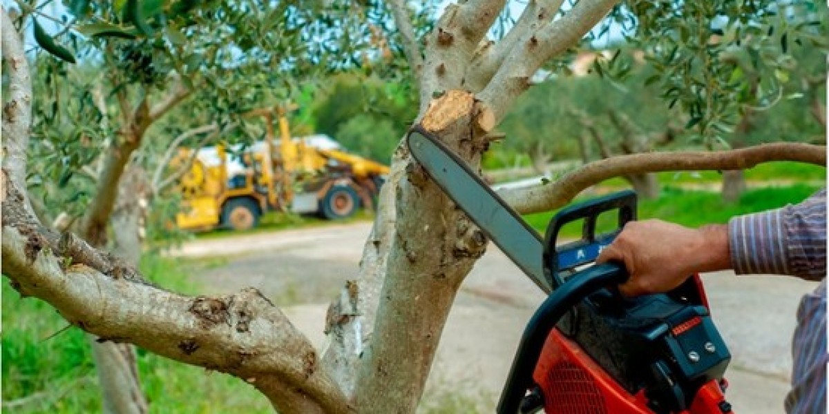 Hiring Tips for Professional Tree Removal