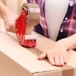 Daniel Colgate Profile Picture