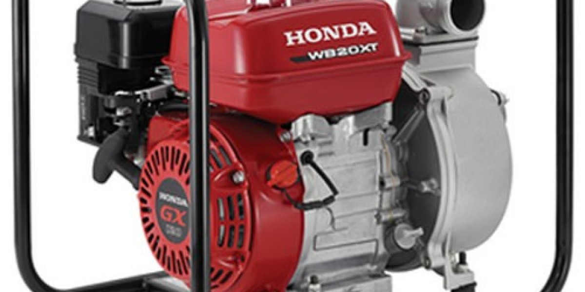 Empower Your DIY Dreams with Power Tool Rentals Belleville