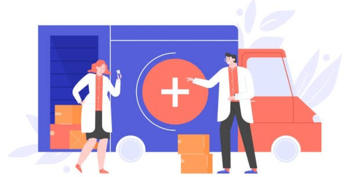 International Medicine Delivery Service: Bridging Healthcare Gaps Globally