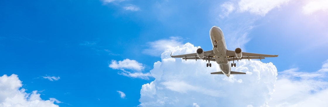 cheap flight booking Cover Image