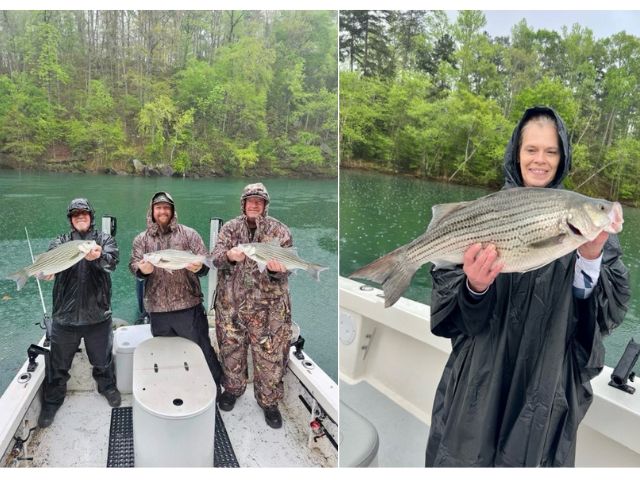 Lake Hartwell Fishing Report April 07th 2023 - Lake Hartwell Fishing Guides